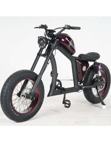 City Coco Chopper FT02 Mangosteen 750 Watt – Bild 7