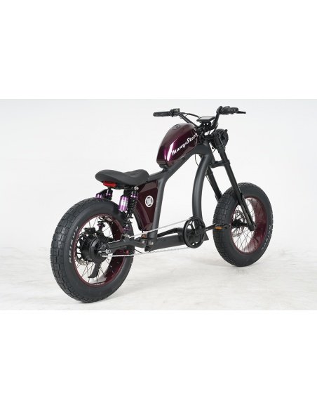 City Coco Chopper FT02 Mangosteen 750 Watt – Bild 61