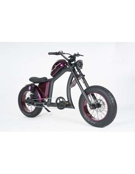 City Coco Chopper FT02 Mangosteen 750 Watt – Bild 79