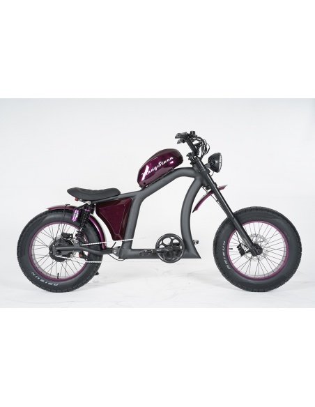 City Coco Chopper FT02 Mangosteen 750 Watt – Bild 80