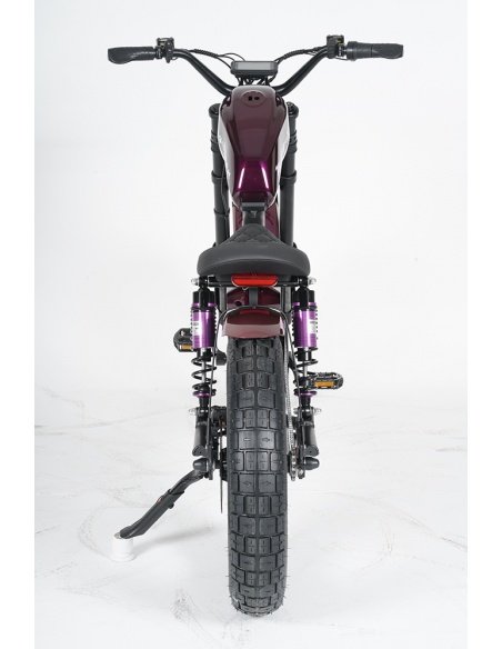 City Coco Chopper FT02 Mangosteen 750 Watt – Bild 82