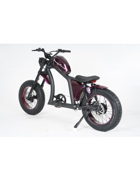 City Coco Chopper FT02 Mangosteen 750 Watt – Bild 83