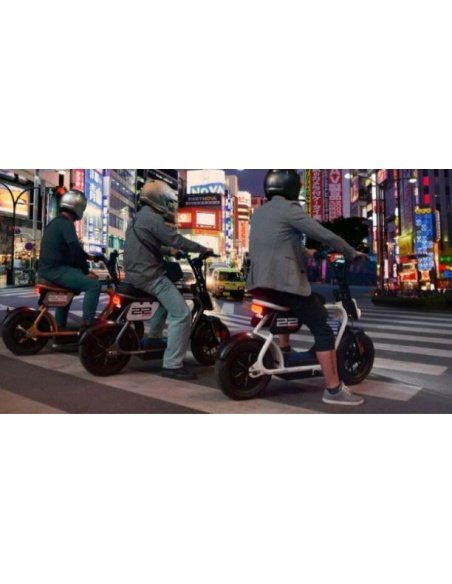 Coopop Rugged GS Mini-E-Scooter, klappbar – Bild 5