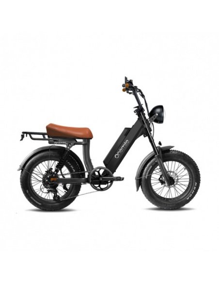 Scrambler V E-Bike Speedbike mit Straßenzulassung – Bild 2