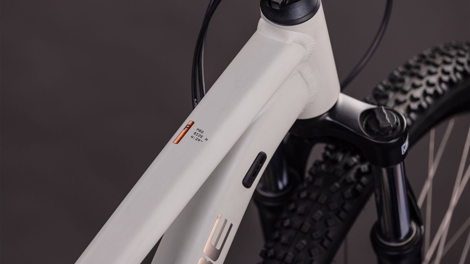 AIM PRO – Bild 3
